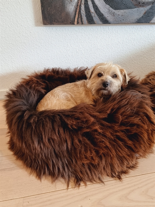 Animal bed size Medium